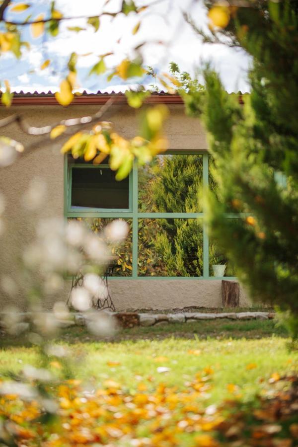 Casa Akacia Hotel Telavi Kültér fotó
